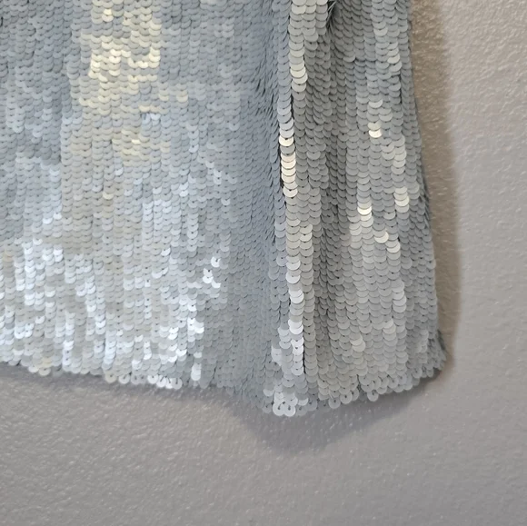🍂NWOT Clifford&Wills full sequin baby blue midi skirt - Picture 2 of 7